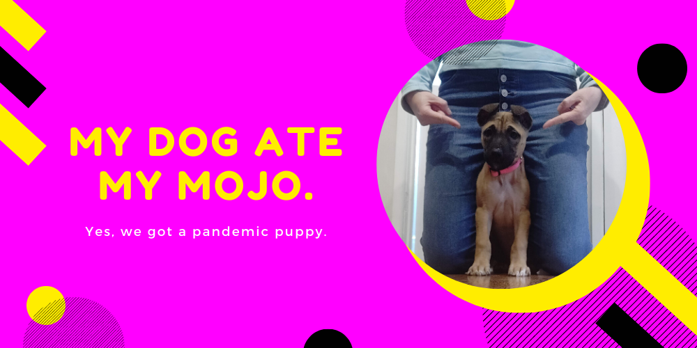 My dog ate my mojo